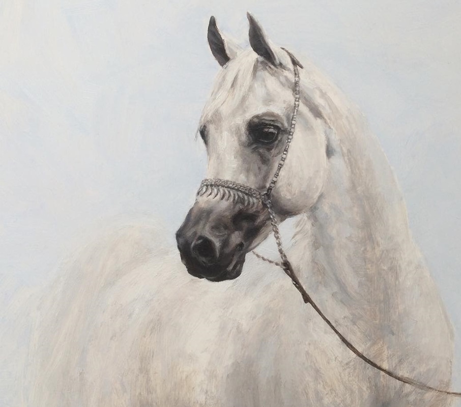 Monica Brufton Horse Portrait 